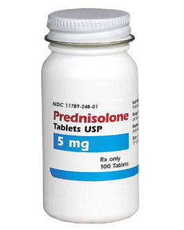 Deltasone / Prednisolone